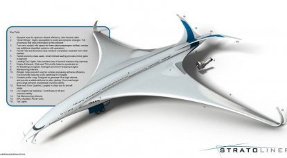 מעצב אמריקאי הציג פרויקט חדש של מטוס ציפור