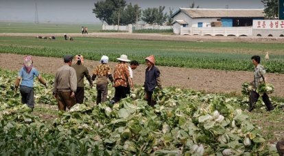 Ким Чен Ын: На армию КНДР возложена ответственность по обеспечению продовольственной безопасности страны