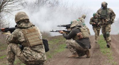 Минобороны Литвы пообещало нарастить военную поддержку Украины в части подготовки военнослужащих ВСУ