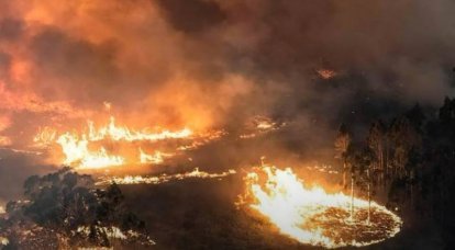 L'Australia indaga su incendi boschivi su larga scala nel 2020 causati dalla negligenza di un equipaggio di elicotteri dell'esercito