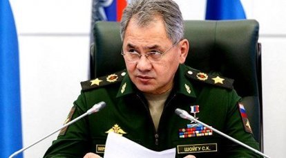 Sergei Shoigu told about military successes in Syria