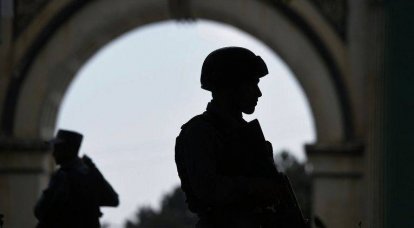 Afganistan ve Mısır ordusu çok sayıda militanın öldürüldüğünü bildirdi
