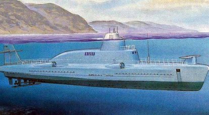 潜水导弹艇。 1231海豚计划