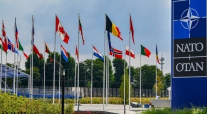 Mitglied des niederländischen Parlaments: Russland hat den Konflikt mit der NATO und den USA bereits gewonnen