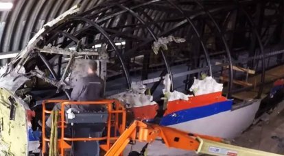 Untersuchung in den Niederlanden: Zeugenpersönlichkeiten in MH17 bleiben geheim