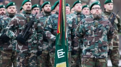 Председатель комитета по безопасности Сейма Литвы предложил заняться организацией гражданского сопротивления возможной внешней агрессии