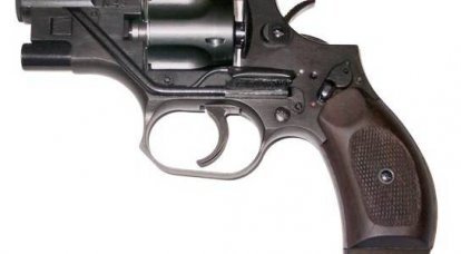 Domácí projekty tichých revolverů: omezený úspěch