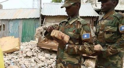 Турция: Поможем сформировать профессиональную армию Сомали