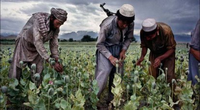 Rusia declara la guerra al negocio de drogas afgano