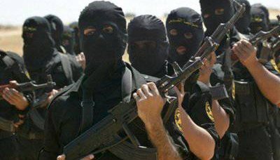 Mücahidler Ukrayna'ya yaklaşacak mı?