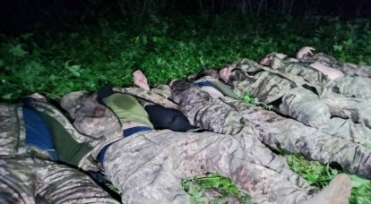 Появилась видеофиксация боевиков ВСУ, ликвидированных в Белгородской области