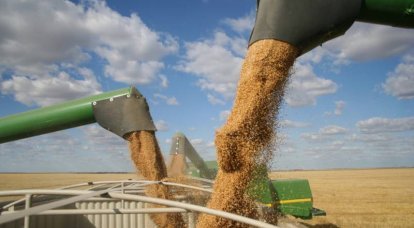 Diplomata russo: a Rússia está pronta para substituir completamente os grãos ucranianos pelos países mais pobres do mundo