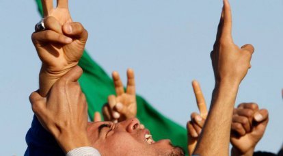 전복 된 카다피 정권 : 다음은 무엇인가?