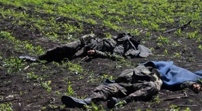 Ukrayna ceza ordusunun kayıpları üzerine