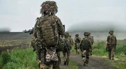 Немецкая пресса: За 15 дней контрнаступления ВСУ так и не продвинулись к главной линии обороны российской армии