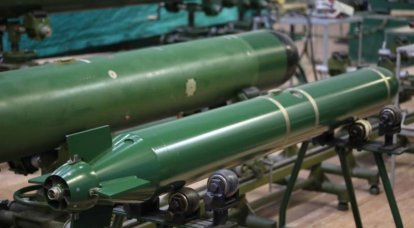 De presentatie van de nieuwe universele kleine UMT-torpedo zal plaatsvinden tijdens de IMDS-2023 marineshow in Kronstadt