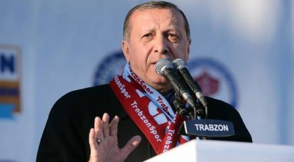 Эрдоган назвал европейских политиков "внуками нацистов"