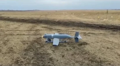 UAV carrier of kamikaze drones "Bee"