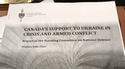 В канадском парламенте предлагают дополнительно вооружить Украину