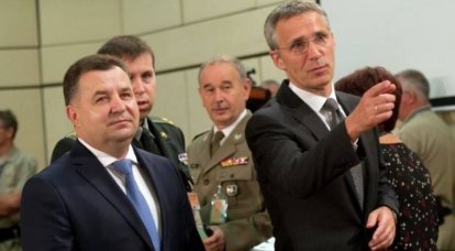 Полторак представил НАТО «дорожную карту» реформ украинской армии