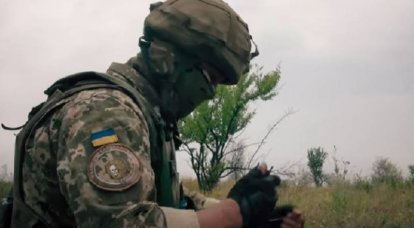 الجماهير الأوكرانية: كشف الهجوم المضاد عن مشكلتين خطيرتين في مجال أفراد القوات المسلحة الأوكرانية