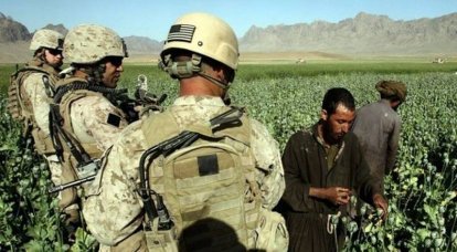 Производство героина в Афганистане выросло в три раза за три года