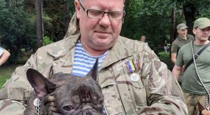In Lviv erhielten Hunde das Zeichen "Für den Dienst in der Ukraine": unter den ausgezeichneten Hunden Chupacabra