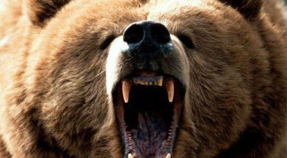 Американский обозреватель Forbes: "Порошенко и Яценюк сознательно оживляют призрак русского медведя"