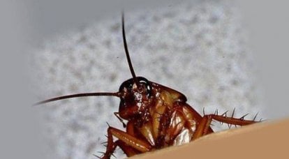 Zápisky švába z Colorada. Neplánovaně „je to ostuda pro Rusko“