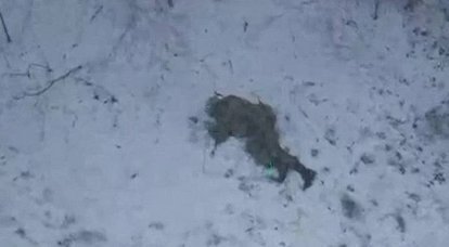 Rus savaşçı, insansız hava aracından atılan bir el bombasını atlattı ve sonra ölü taklidi yaparak insansız hava aracını etkisiz hale getirdi.