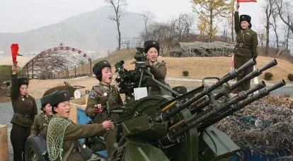 מערכת ההגנה האווירית של DPRK: מתקני ארטילריה נגד מטוסים ומקלעים
