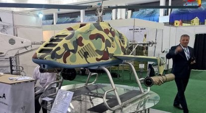 রিকনেসান্স এবং স্ট্রাইক UAV UNDELA-INSKY (বেলারুশ)