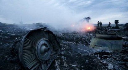 Экс-майор ВСУ заявил, что MH17 сбили с подконтрольной Киеву территории