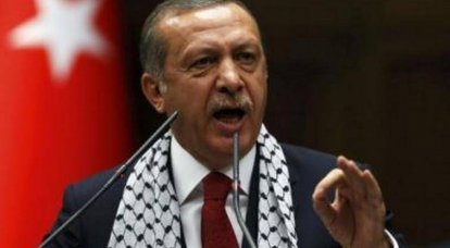 Турецкие расклады. Эрдоган, фундаменталисты и печальные перспективы страны