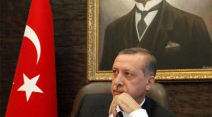 Эрдоган как любимый политик диванных стратегов