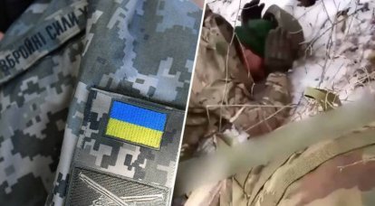 איך אנחנו מגיבים לפשעי המלחמה של הכוחות המזוינים של אוקראינה