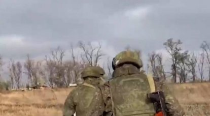 मीडिया: यूक्रेन के सशस्त्र बलों के खिलाफ शत्रुता में भाग लेने के लिए स्वयंसेवकों का एक समूह तुर्की से आया था