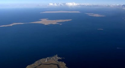 サハリン州知事は、キエフ政権が「千島列島を日本人として」認めた決定についてコメントした。