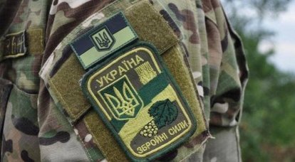 「アゾフ」に関するウクライナの軍隊の隊長と正面の状況