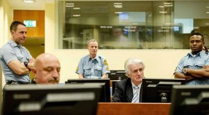 Приговор Радовану Караджичу. Был бы серб, а статья в Гааге найдётся