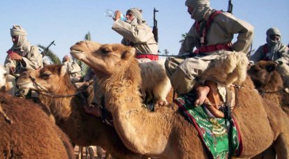 Марокко: королевский режим и вооружённые силы
