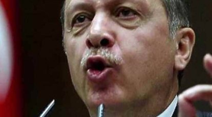 Erdogan wants to achieve reform of the UN Security Council