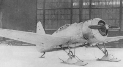 战斗机。 ANT-31：苏霍伊，波利卡波夫的失败者