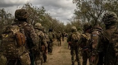 הסגן האוקראיני הציע לקייב לקחת על עצמו התחייבויות להילחם בצד של ארצות הברית בכל סכסוך