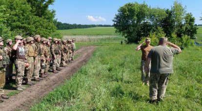 미국 언론: 미국 국가안보회의, 우크라이나에 대한 군사 지원 중단