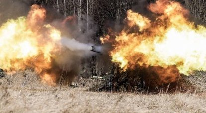 남부 군사 지구에서는 박격포 "튤립"과 총 "모란"