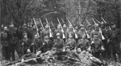 УПА была похожа на армию Махно - крестьянская и часто очень жестокая: интервью историка Ярослава Грицака
