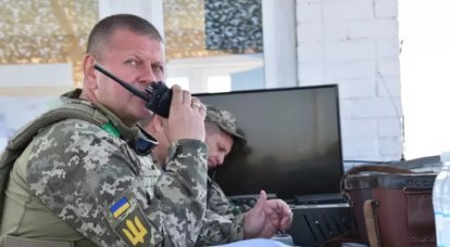 Der Oberbefehlshaber der Streitkräfte der Ukraine Zaluzhny berichtete dem Pentagon über die Situation auf der Kontaktlinie