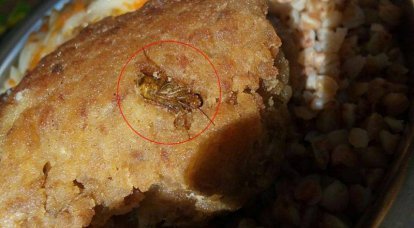 Бирюков о червяках и тараканах в еде украинских военнослужащих