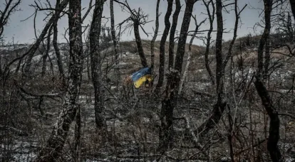 Media Ukraina: dari struktur pertahanan di sebelah barat Avdiivka Anda hanya dapat melihat lubang di mana tentara Angkatan Bersenjata Ukraina berusaha bersembunyi